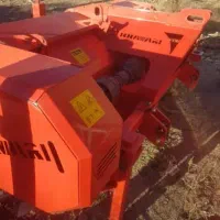 سرزن سیب زمینی همدان خاوری