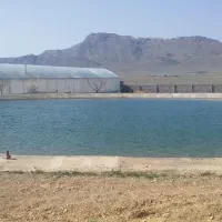 فروش زمین گلخانه