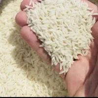 برنج چمپا درجه ۱ ارگانیک
