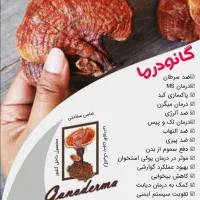 هات چاکلت  گانودرما..اکسیر جوانی|خوردنی و آشامیدنی|شیراز, نشاط|دیوار