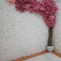 درختچه شکوفه و بک