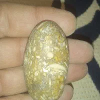 کسی هست بگه اینها چه سنگهای هستند|کلکسیون اشیاء عتیقه|شیراز, حومه شیراز|دیوار