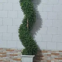 گل‌های زیبا|گل مصنوعی|شیراز, شهرک مطهری|دیوار