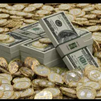 ضامن کاسب نیازمندم