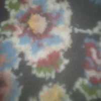 گمشده سینه سیاه