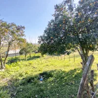 450-متر-زمین-مسکونی-جاده-ماسوله