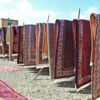 قالیشویی البرز