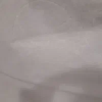 قالی وموکت|فرش|کارون, |دیوار