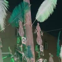 شاه تیغ علامت