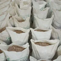 لوبیا چیتی تازه امسال خودم کاشت کردم و پاک شده|خوردنی و آشامیدنی|صومای برادوست, |دیوار