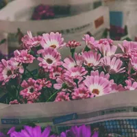 همخونه با یک پیرزن