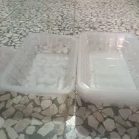 ظرف سبزه|ظروف نگهدارنده، پلاستیکی، یکبارمصرف|اصفهان, امیرعرب|دیوار