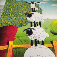 فرش ۶ متریو دو تخته ۴ متری