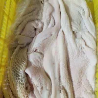 پخش الایش دامی