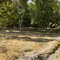 باغ در منطقه خوش آب و هوا باویل|فروش دفتر صنعتی، کشاورزی، تجاری|اسکو, |دیوار