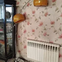 اباژور ایستاده