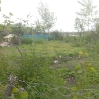 فروش-زمین-250متر-در-جماکوه