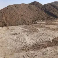 کود گوسفندی