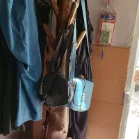 چوب لباسی درختی