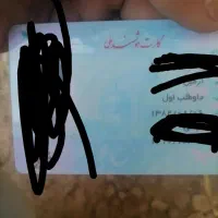 مدارک گمشده|کیف، کفش، کمربند|گناباد, |دیوار