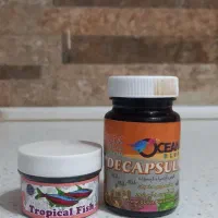 اکواریوم و لوازم|ماهی|تهران, امیریه|دیوار