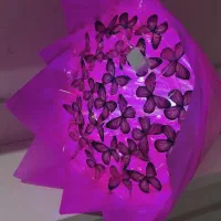 باکس هدیه قیمت مناسب|حراج|بروجرد, |دیوار