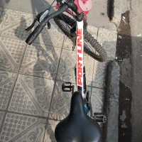 دوچرخه پورت لاین
