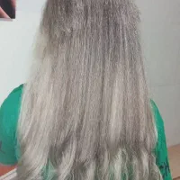 نیازمند مدل رنگ و لایت