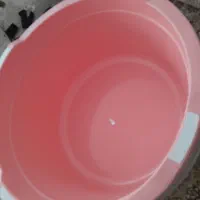 لکن آخرین سایز|عمده‌فروشی|پاکدشت, پاکدشت (مامازند)|دیوار