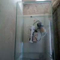 اگریوم|ماهی|بازرگان, |دیوار