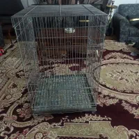 قفس بزرگ ارایی