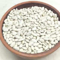 لوبیا سفید ایرانی