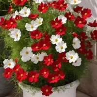 سلام فروش منزل ویلایی 3خواب