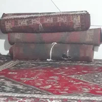 فرش دستباف|فرش|کوثر, |دیوار