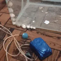 آکواریوم بزرگ