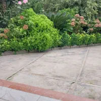 کارنظافت واسه خانم