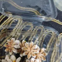 قند و نبات رژیمی|خوردنی و آشامیدنی|ماهان, |دیوار