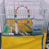 قفس برای تمامی پرنده ها با تمام وسایل|لوازم جانبی حیوانات|سنندج, |دیوار