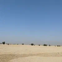 اجاره زمین کشاورزی|اجارهٔ دفتر صنعتی، کشاورزی، تجاری|برازجان, |دیوار