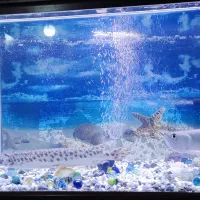 فروش آکواریوم با ماهی