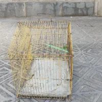 قفس پرنده|لوازم جانبی حیوانات|فردوس (خراسان), |دیوار