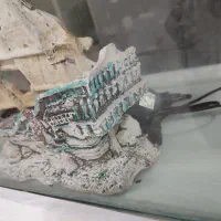 آکواریوم و تجهیزات|ماهی|بندرعباس, |دیوار