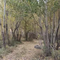 استخدام کارگر ساده نگهبانی