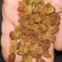 کشمش تیزابی