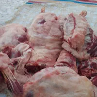 گوشت گوسفند و بز جوان ۴۰۰