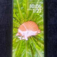 ردمی نوت 13 پرو|موبایل|زرند, |دیوار