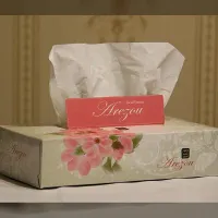 پخش انواع دستمال کاغذی به قیمت تولیدی|مواد شوینده و دستمال کاغذی|دهدشت, |دیوار