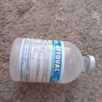 گاو سیمینتال و گوساله ماده شاروله|حیوانات مزرعه|بیلوار, |دیوار