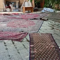 ۸تافرش و۱۰۰مترگونی|فرش|همدان, |دیوار