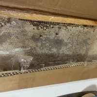 عسل طبیعی موم دار